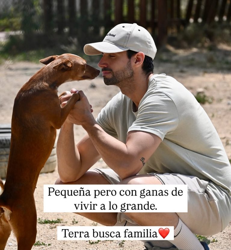 503940852 18329747113205198 6974997197512408542 n 768x833