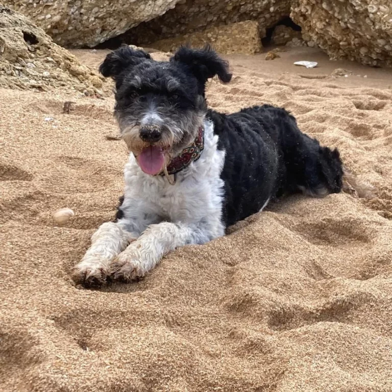 504183245 18505552465005084 2548806095163186792 n 768x768